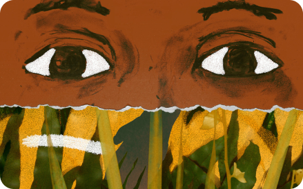 ОЛИВИЯ И ОБЛАКА