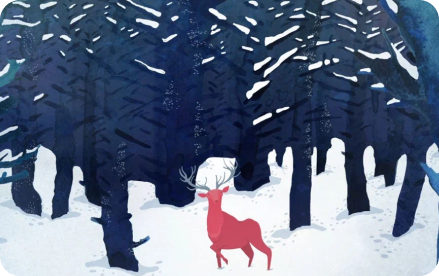 программа 11